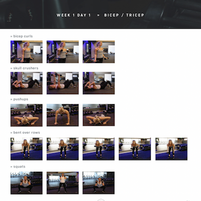 Strong and Sexy Fit Original Plan (downloadable book)