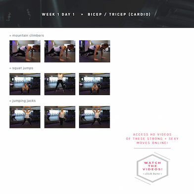 Strong and Sexy Fit Original Plan (downloadable book)